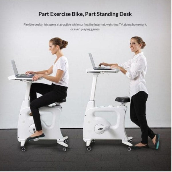 Flexispot Bike V9 Deskcise Pro Sitting And Standing