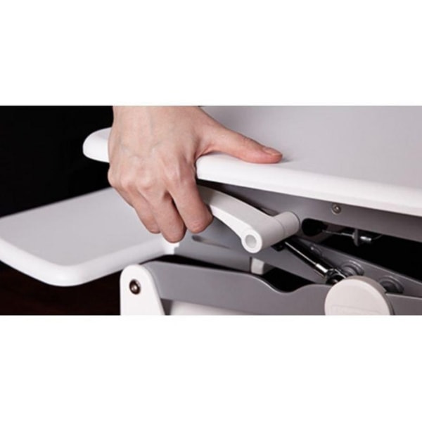 Flexispot M4 Corner Standing Desk Converter Adjustable Lever