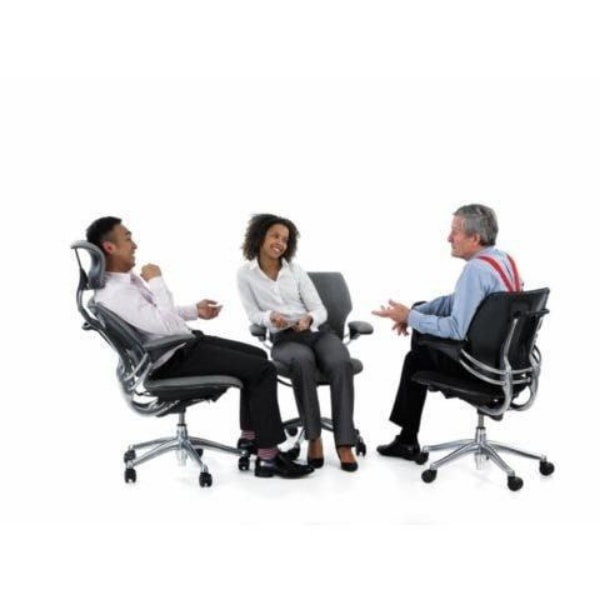 Humanscale Freedom Headrest Chair Group