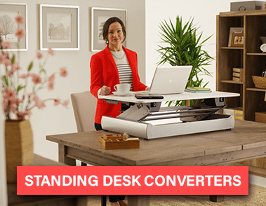 Standing Desk Converters