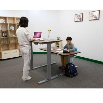 Flexispot Electric Height Adjustable Desk 3D VIew Sitting And Standing