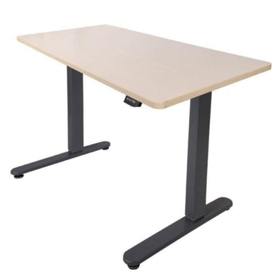 Flexispot Electric Height Adjustable Desk EN1 Standing Desk Nation