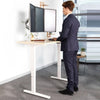Flexispot Electric Height Adjustable Desk Standing 3D View