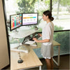 Flexispot M4 Corner Standing Desk Converter Standing 3D View