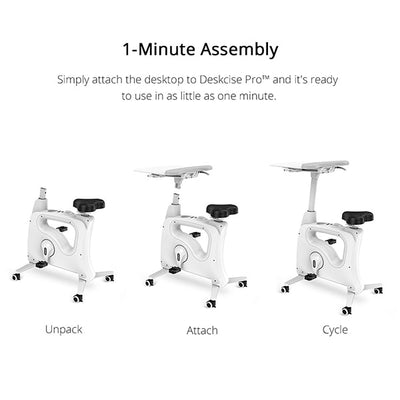 Flexispot Bike V9 Deskcise Pro Assembly