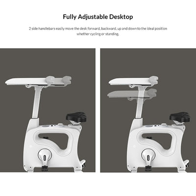 Flexispot Bike V9 Deskcise Pro Adjustable Desktop