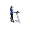 Focal Upright Locus Standing Desk Standing 3D View