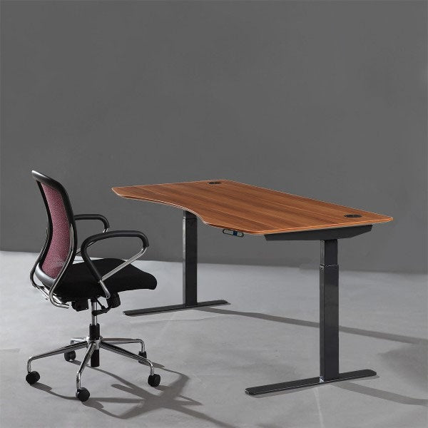 Apexdesk elite series 71 sale inch standing desk