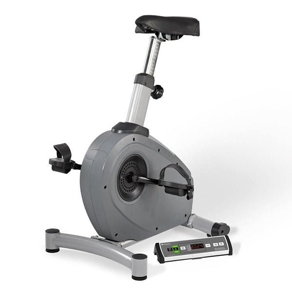 Lifespan dt3 2025