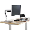 Loctek D7A Monitor Arm Mount On Desk