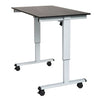 Luxor - 48" Electric Standing Desk - Standing Desk Nation