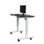 Luxor - 48" Electric Standing Desk - Standing Desk Nation