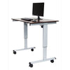 Luxor - 48" Electric Standing Desk - Standing Desk Nation