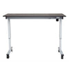 Luxor - 60" Electric Standing Desk - Standing Desk Nation